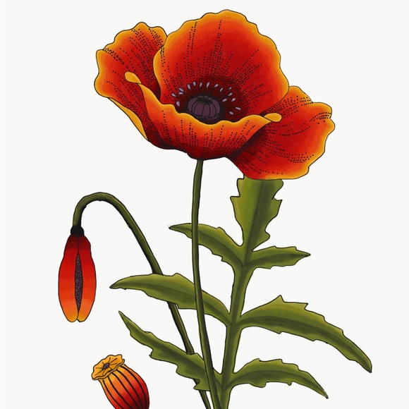 Commission Artwork - Picture 8 of 10